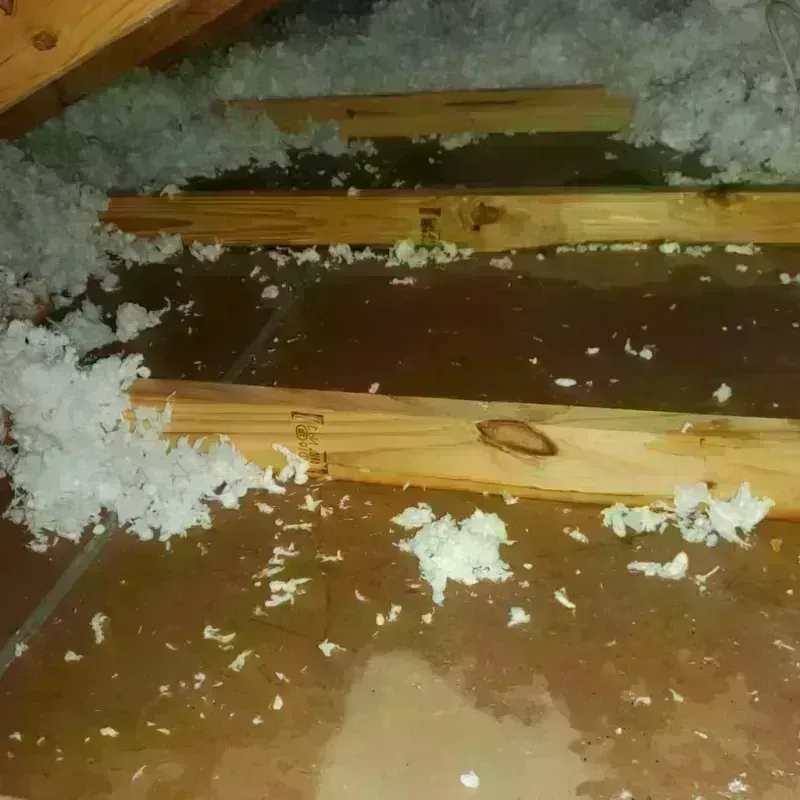 Attic Water Damage in Perris, CA