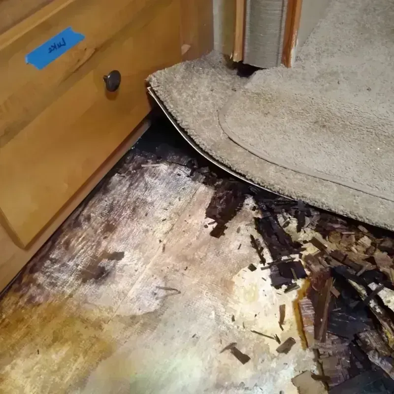 Wood Floor Water Damage in Perris, CA